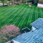 lawn care services in Indianapolis, IN