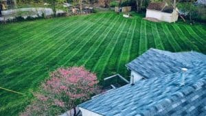 lawn care services in Indianapolis, IN