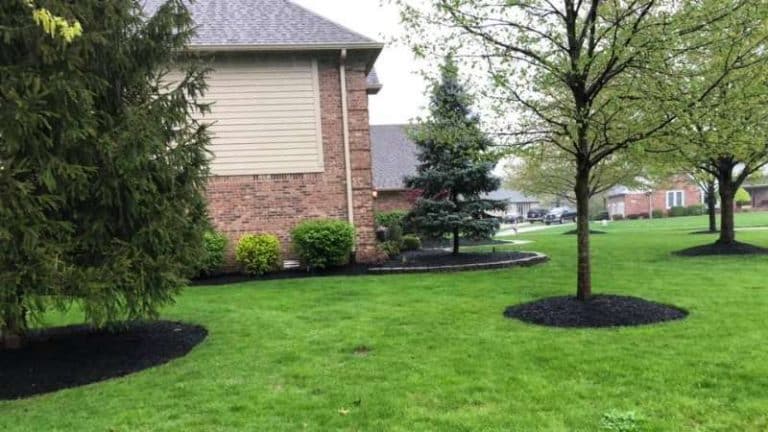 Hiring A Landscape Maintenance Company In Indianapolis, IN