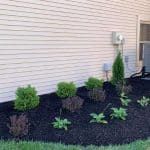 landscaping services in Indianapolis, IN