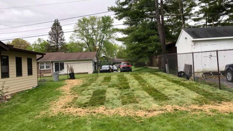 new lawn installations in Indianapolis, IN