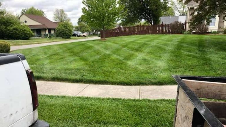 Who Is The Best Lawn Care Company In Indianapolis, IN?