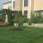 landscape services in Indianapolis, IN