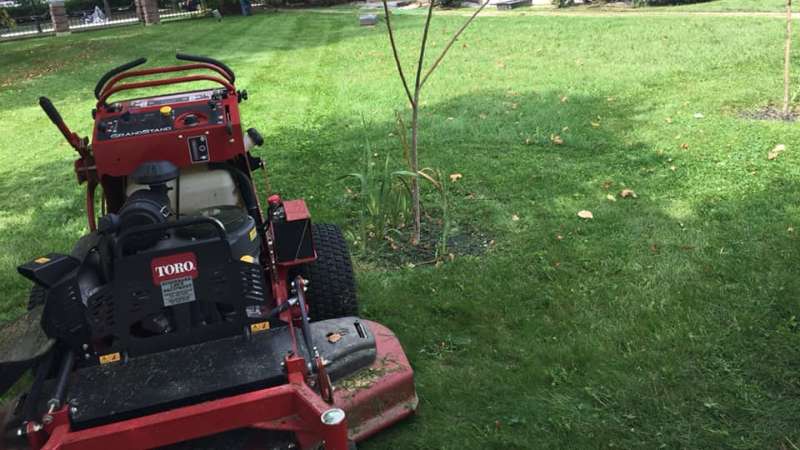 lawn mowing services in Indianapolis, IN