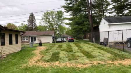 sod installation in Indianapolis, IN