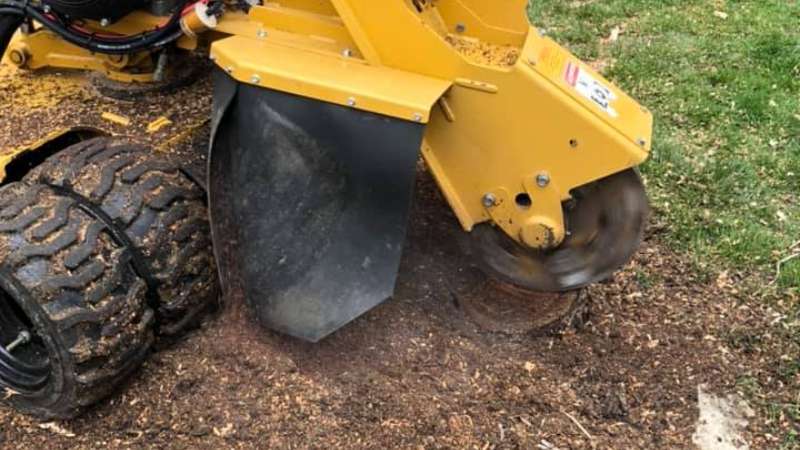 stump grinding services in Indianapolis, IN