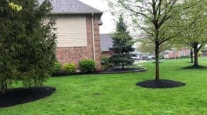 landscaping company in Indianapolis, IN
