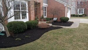 Broad Ripple IN Lawn Care and Landscaping