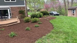Photo of mulch installation in Broad Ripple, Indiana.