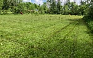 Acreage Lawn Mowing Indianapolis