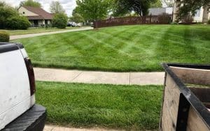 Lawn Mowing professionals Indianapolis