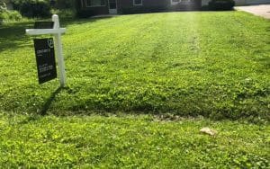New home lawn mowing service Indianapolis