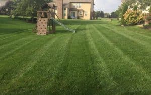 Photo of nicely mowed lawn for HOA complex.