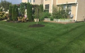 Professional Lawn Care Company Fishers Indiana