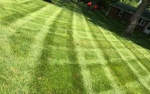 Nice striping is a freshly cut lawn.