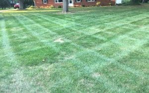 Lawn Mowing Services Carmel Indiana