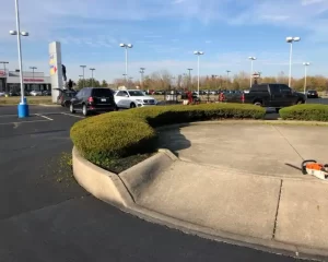 Commercial Bush Trimming Service Indianapolis