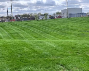 Commercial Lawn Mowing Service Indianapolis